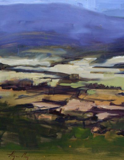Alyson May - Landscape - Yarra Valley. oil on board, 465w x 575h