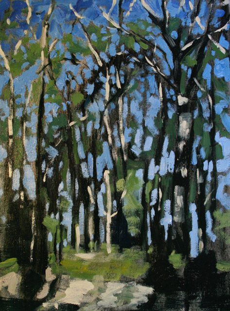 Alyson May - Landscape – Tall Trees. oil on canvas, 275w x 375h