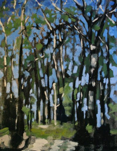 Alyson May - Landscape – Tall Trees. oil on canvas, 275w x 375h